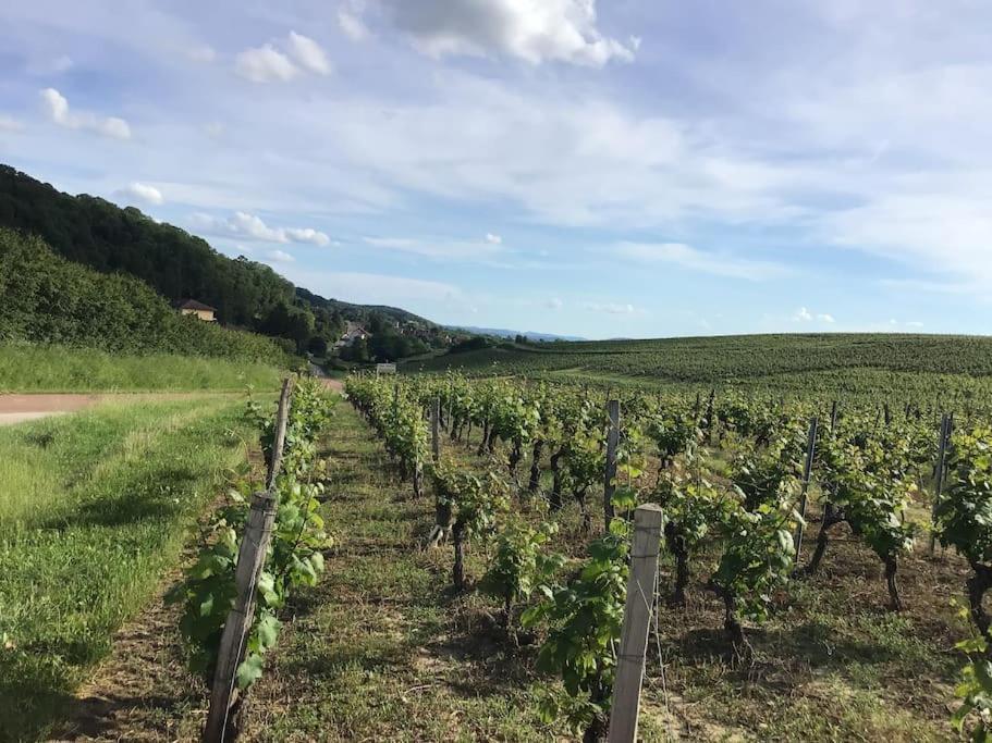 Le Vigneron Au Coeur Des Vignes A Proximite Des Lacs Et Cascades Lits Faits A L'Arrivee Apartment Passenans Exterior photo